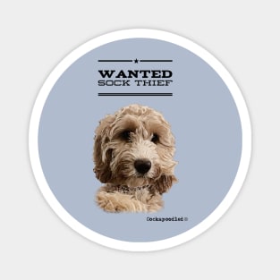 Cockapoo / Doodle Dog Sock Thief Magnet